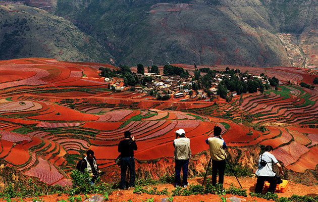 Lexiaguo, sarena polja