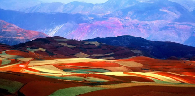 Lexiaguo, sarena polja