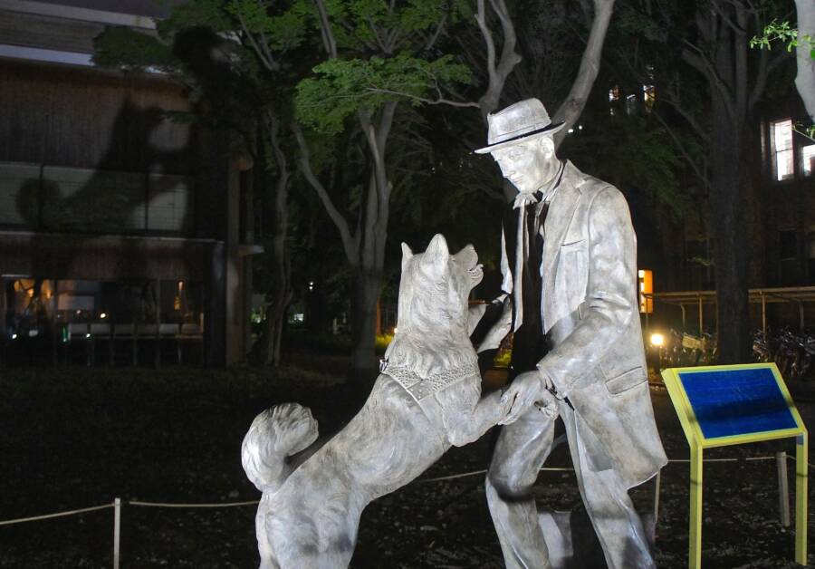 Hachiko 